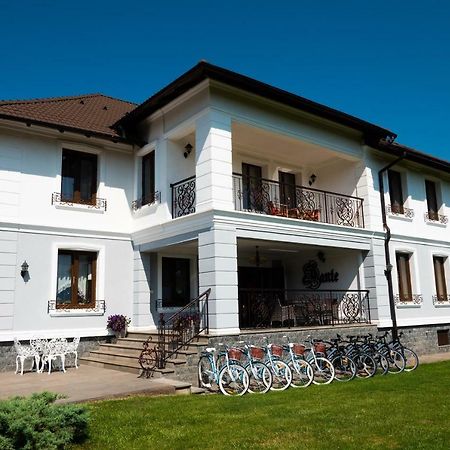 Conacul Dante Hotell Pianu de Jos Exteriör bild