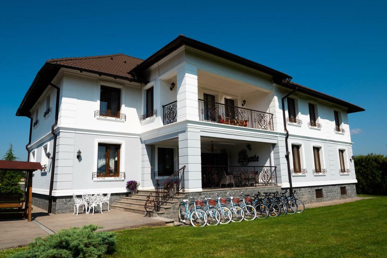 Conacul Dante Hotell Pianu de Jos Exteriör bild